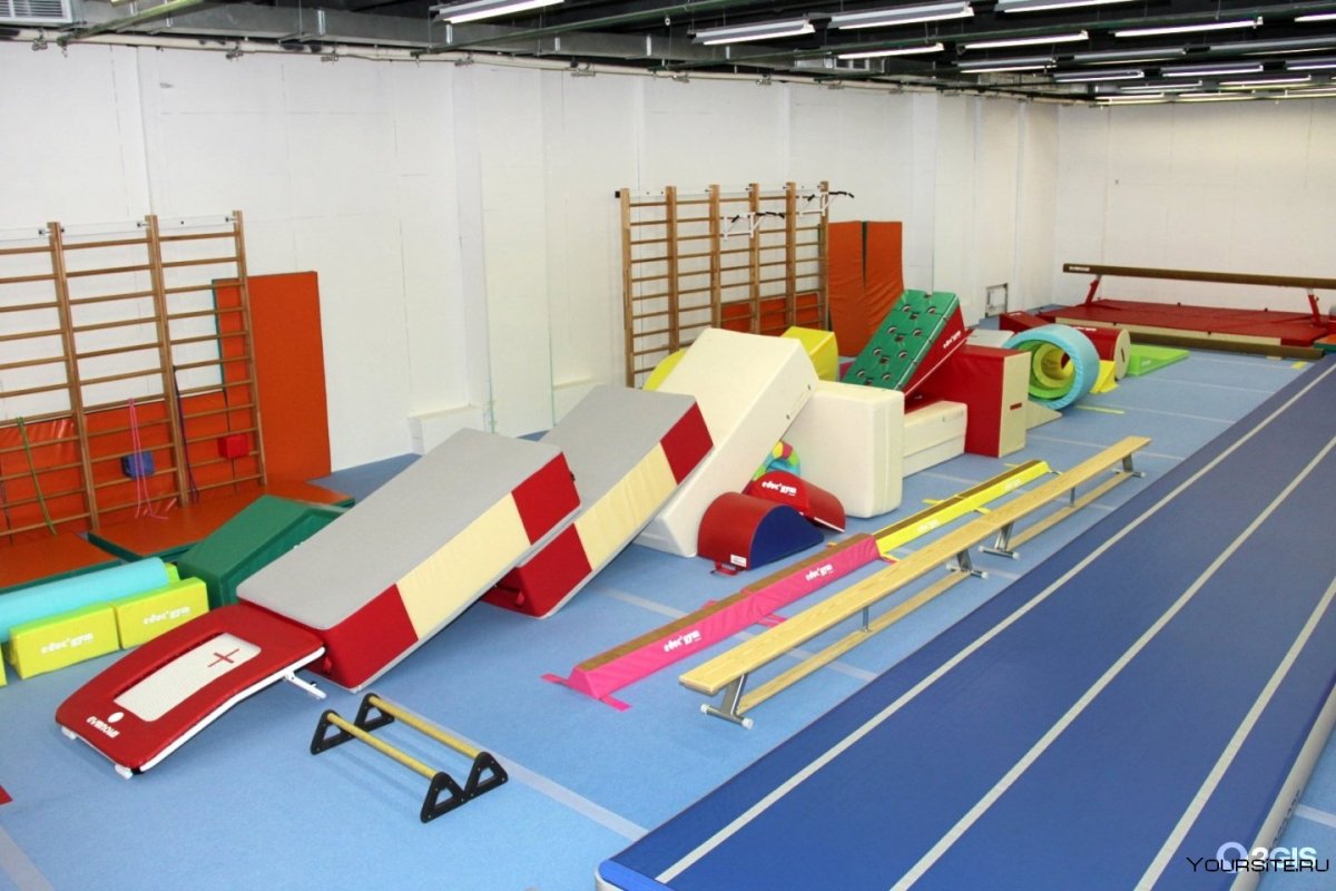 Центр художественной гимнастики Лужники