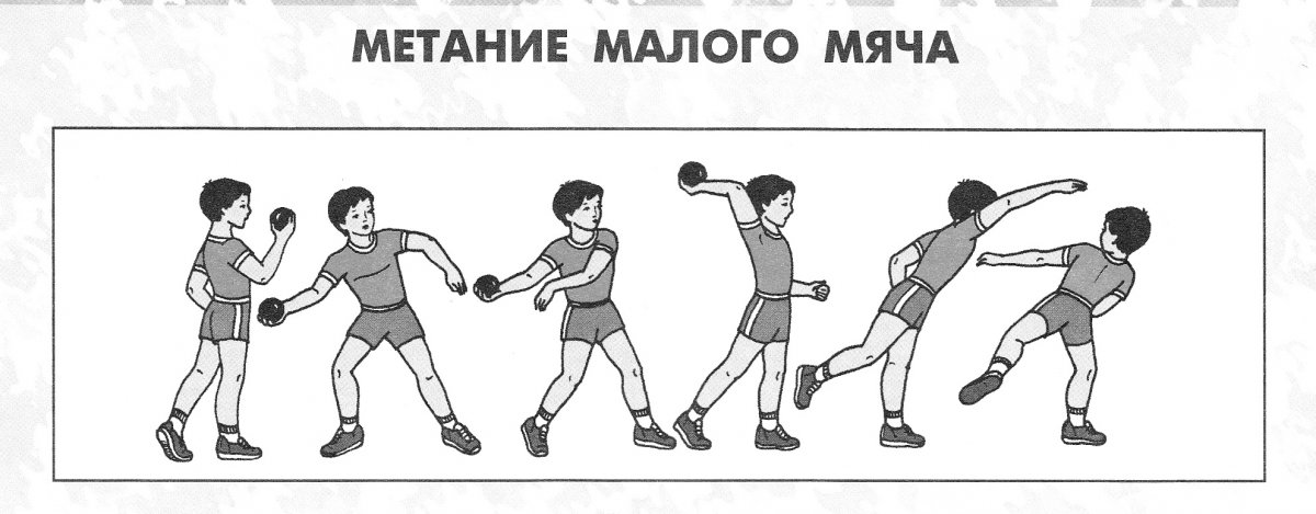 Метание мяча легкая атлетика физкультура