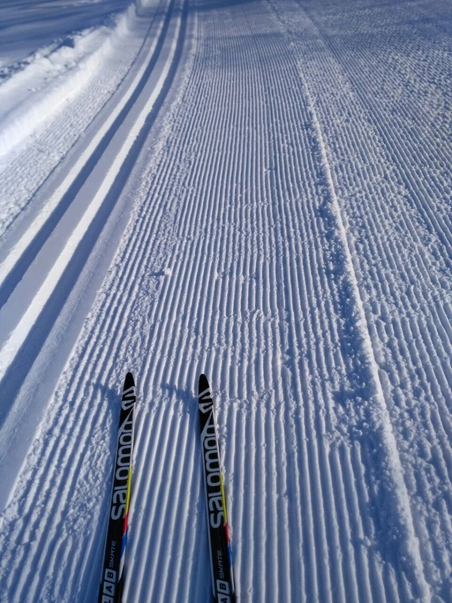 Беговые лыжи баннер