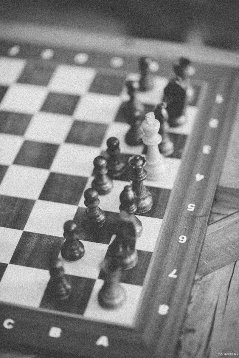 Шахматы на белом фоне в перспективе