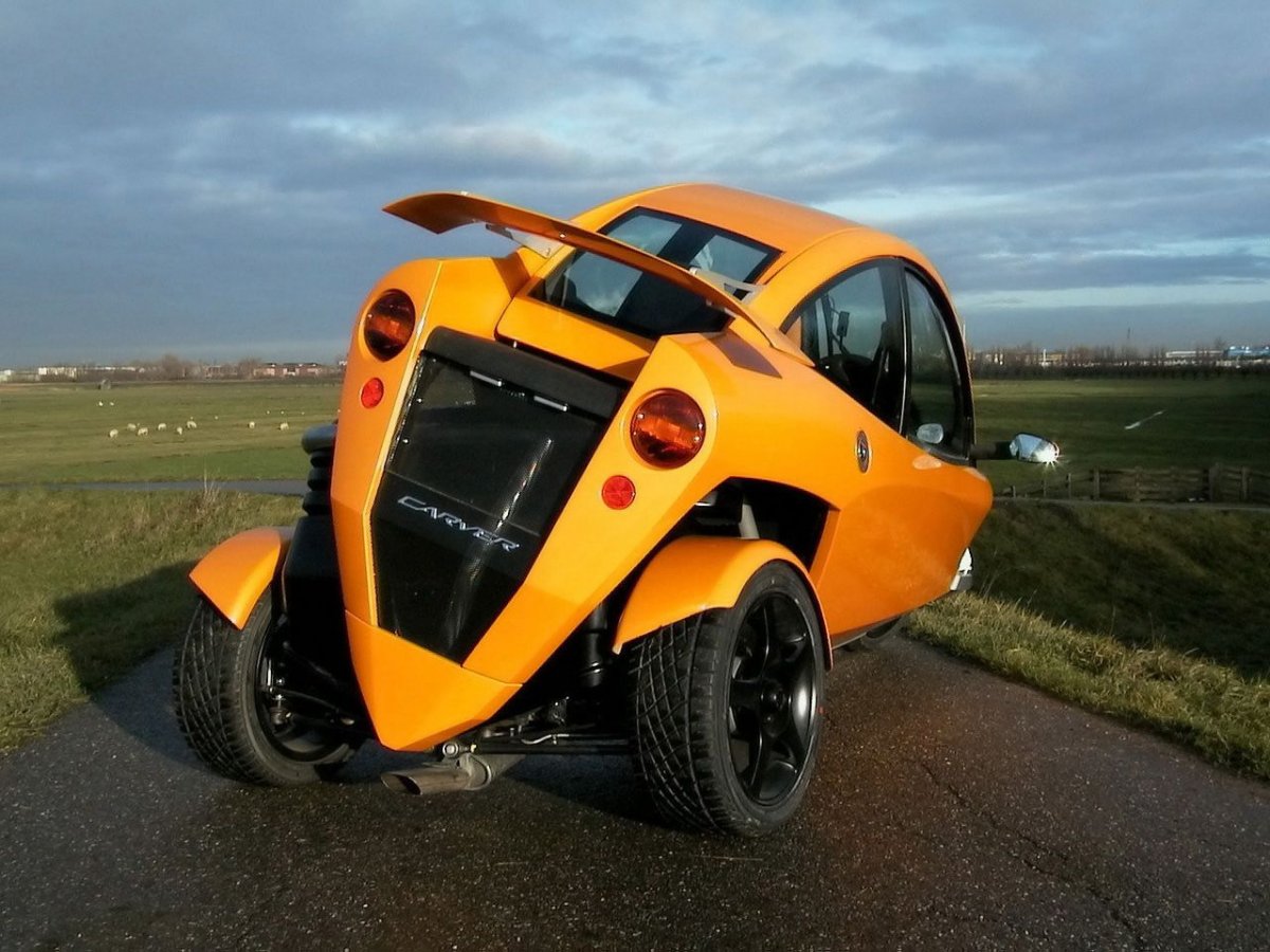 Campagna t-Rex