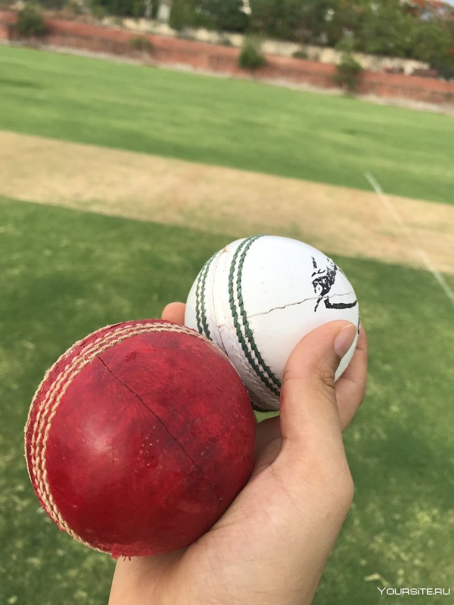 Мяч для игры в крикет