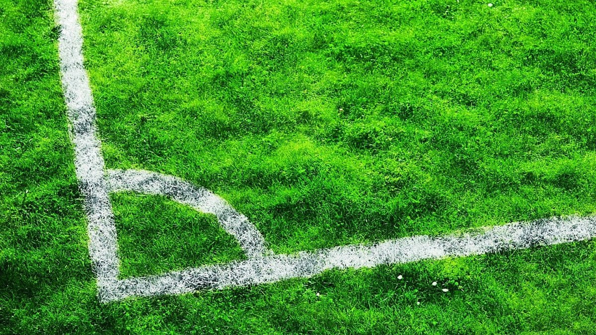 Газонная трава футбольное поле