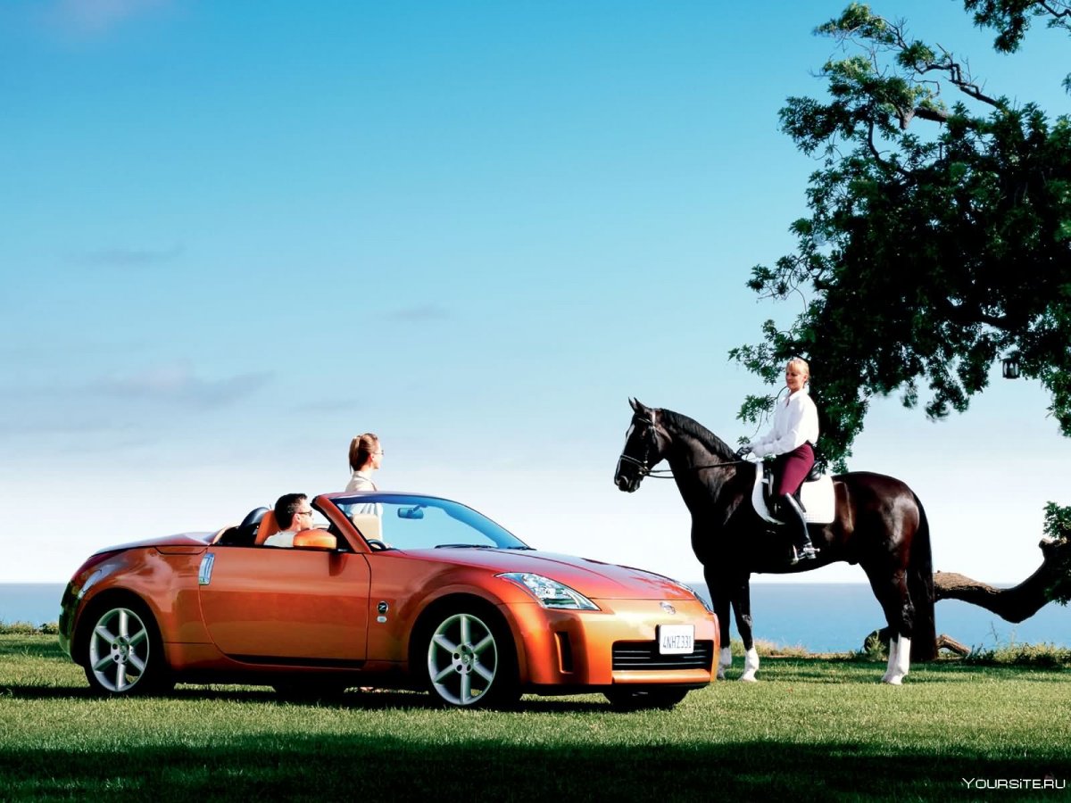 Лошадь и автомобиль