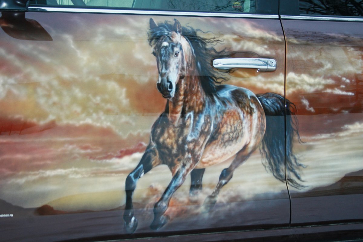 Форд Мустанг жеребец