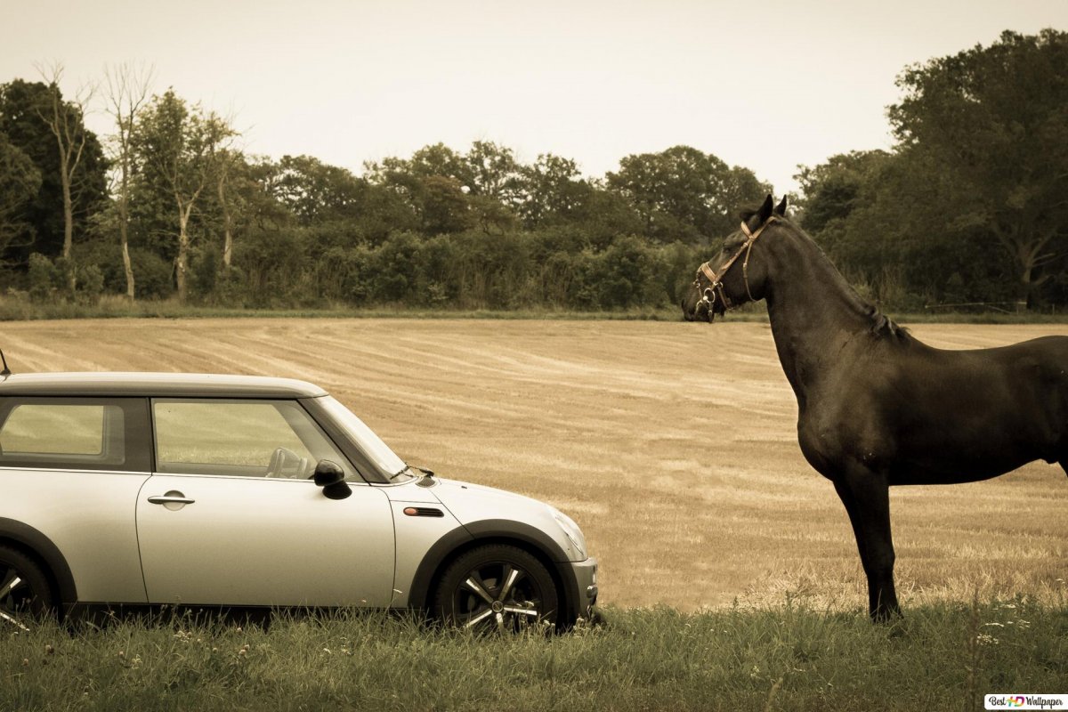 Машина с лошадью