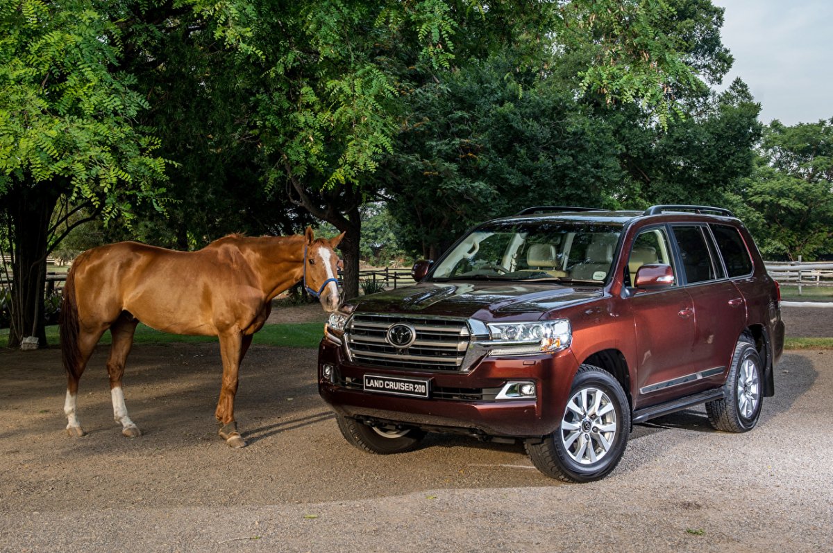 Форд Мустанг 500 лошадей