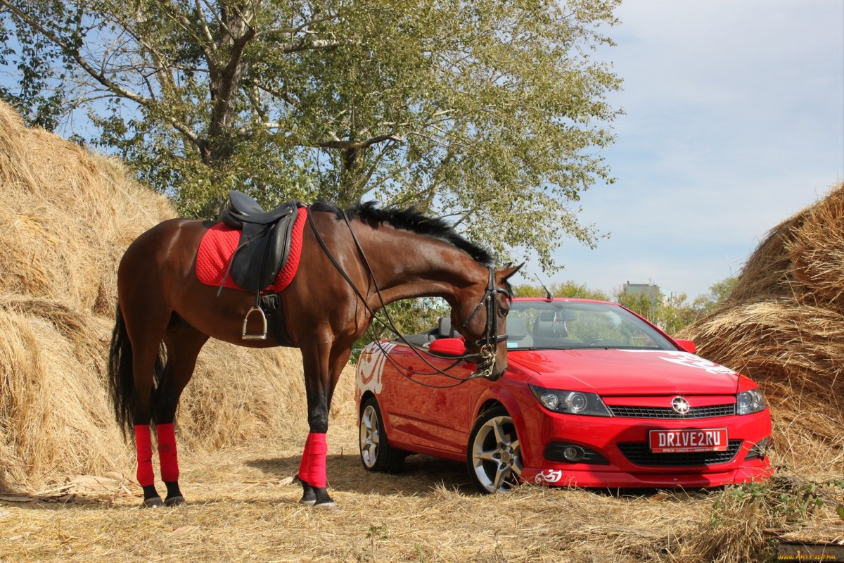 Машина с лошадью