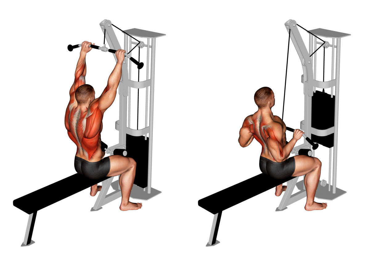Adidas Squat Rack ADBE-10265