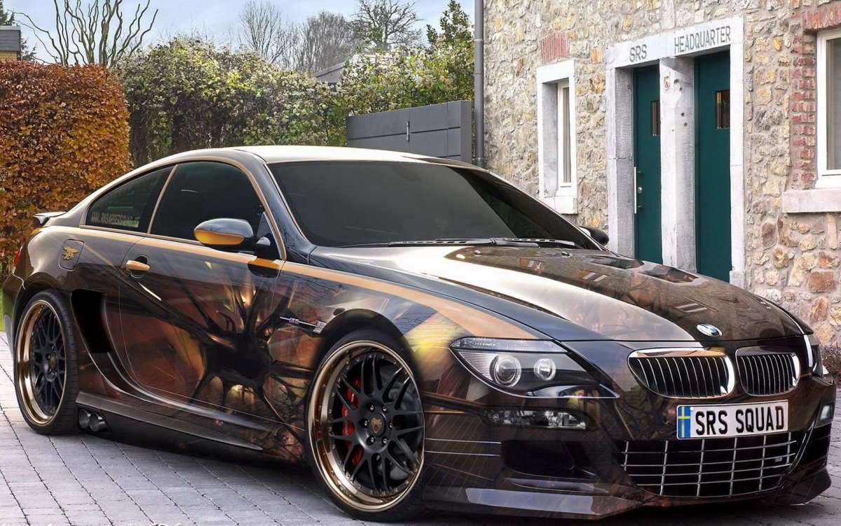 BMW m6 Vinyl