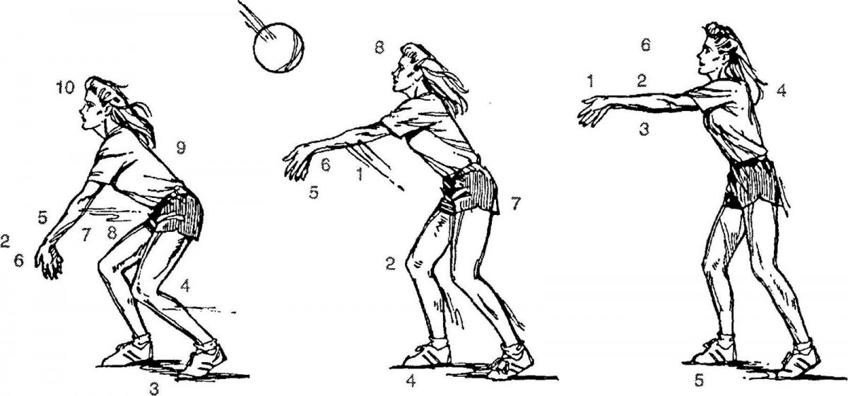 Прием мяча снизу двумя руками в волейболе