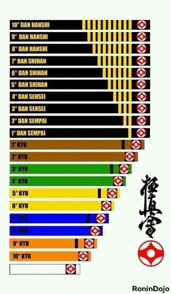 Пояса в карате Кекусинкай по порядку