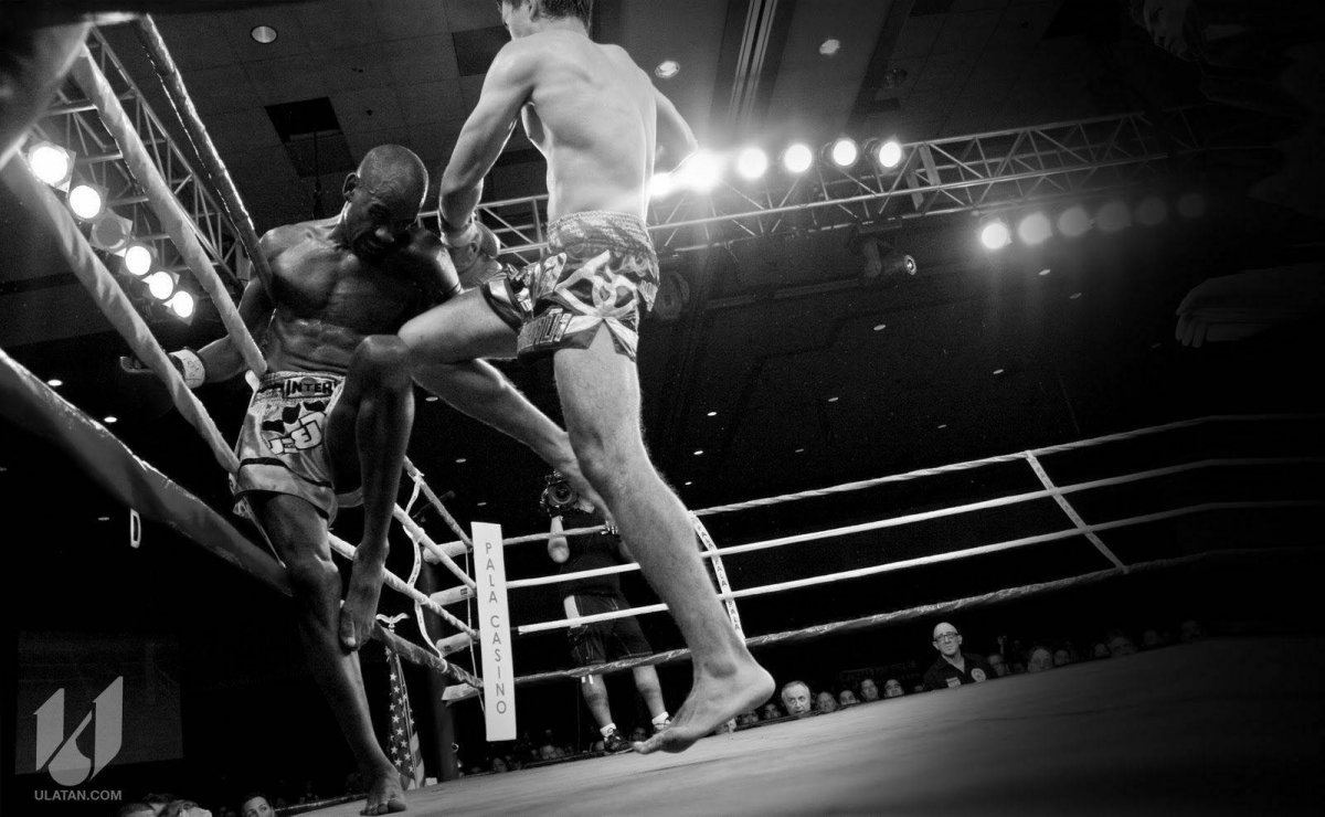 Max Muay Thai логотип