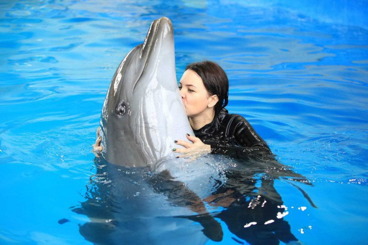 Дельфины дружелюбные