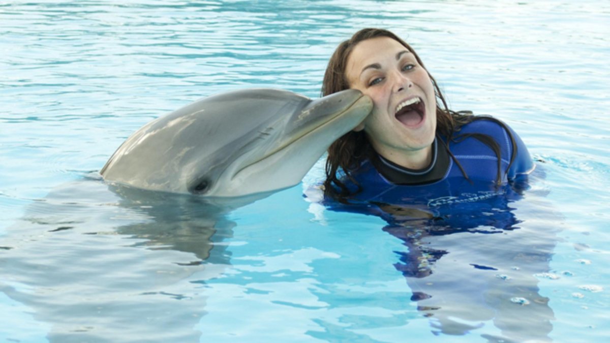 Девушка плавает с дельфинами