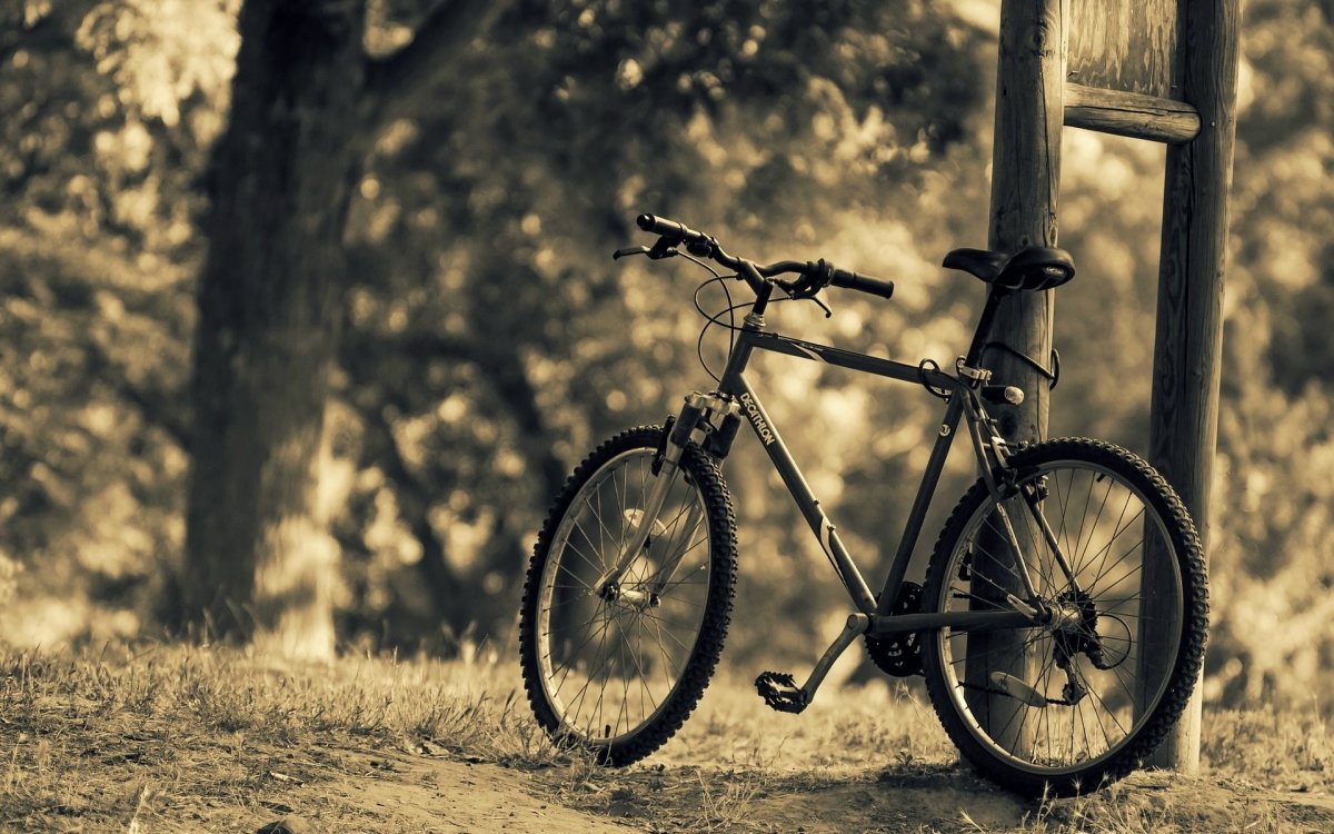 Фотообои велосипед