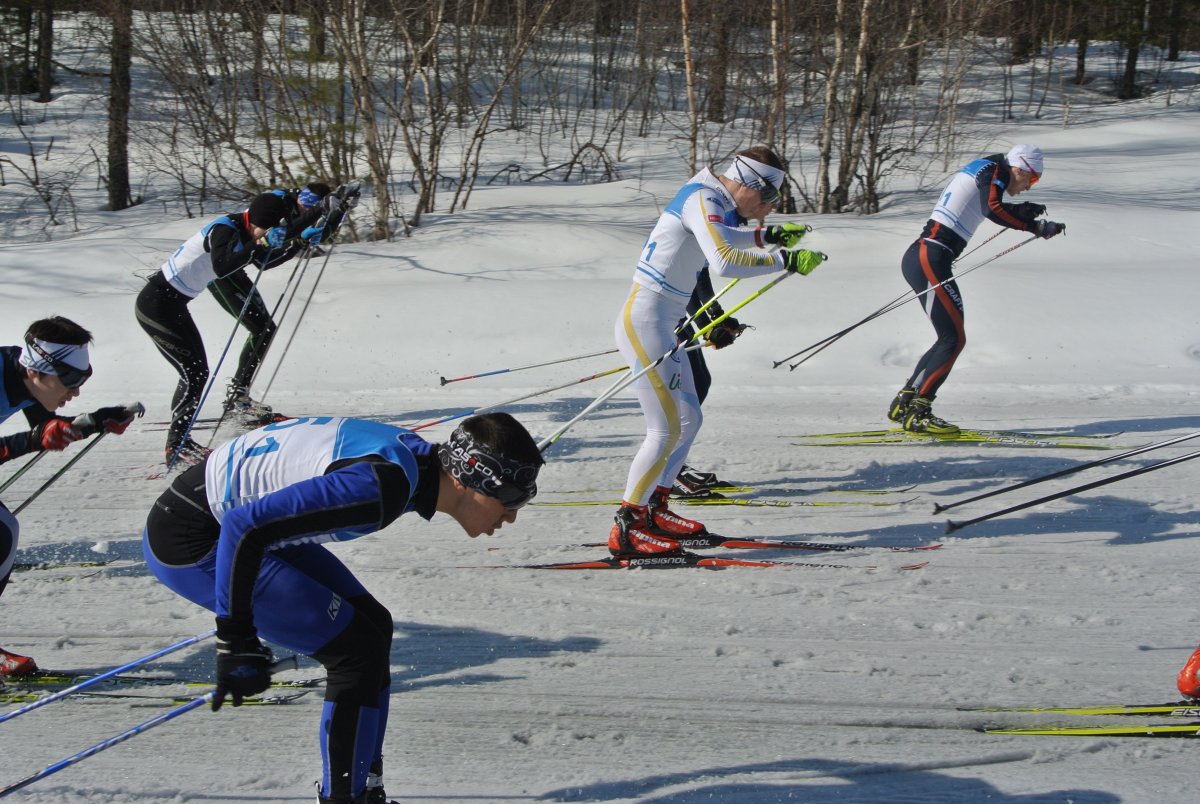Лыжные гонки старт