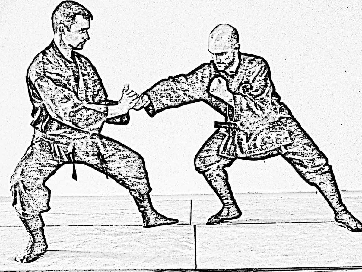 Кунг фу удары руками