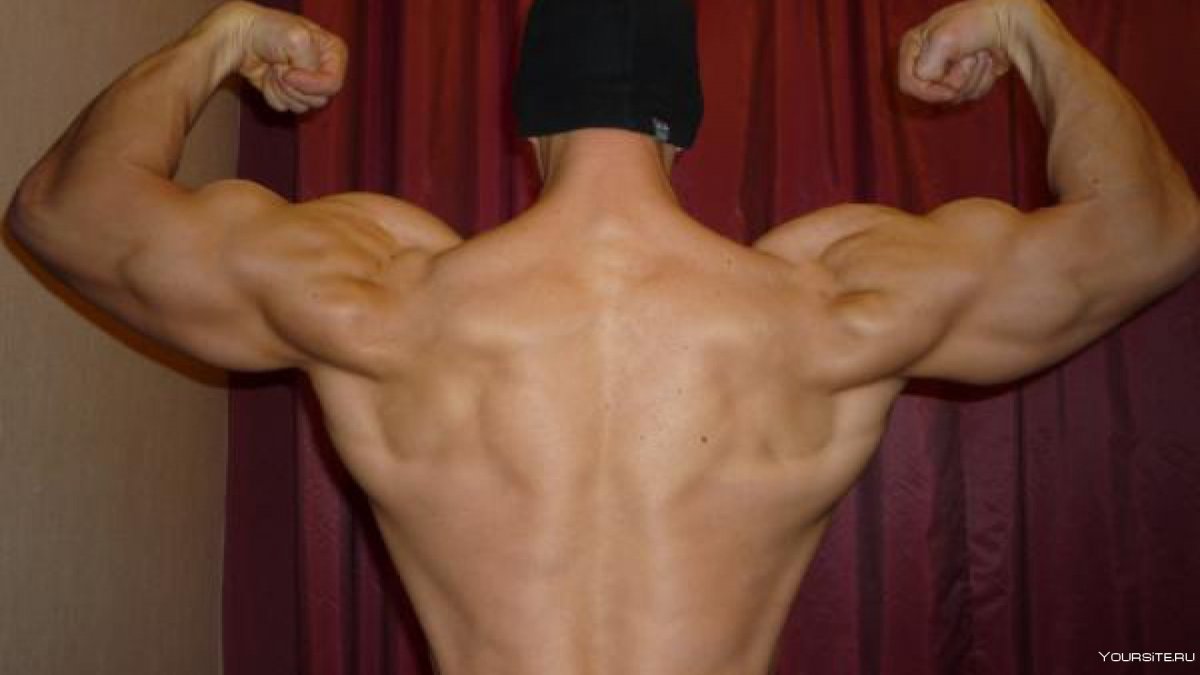 Широчайшая мышца спины спереди