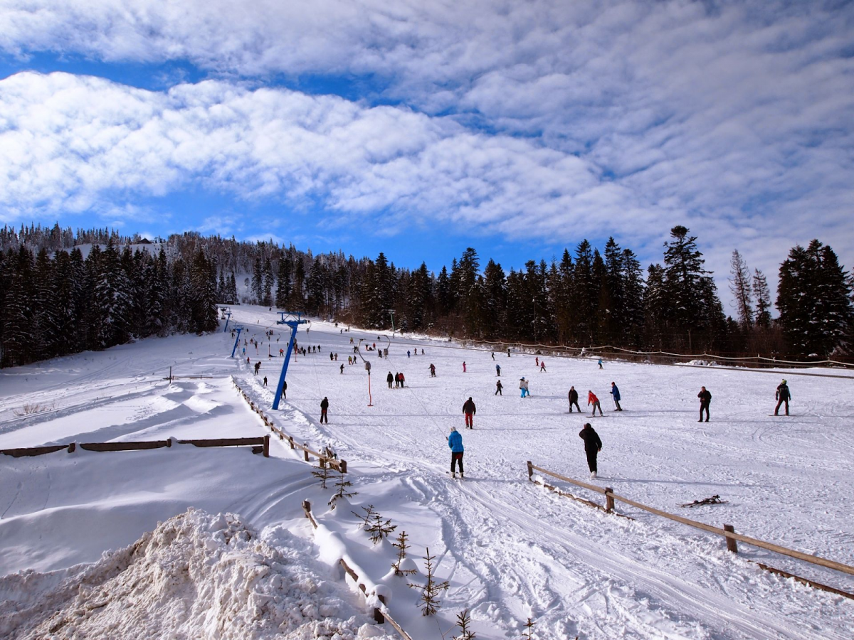 Малиновка центр лыжного спорта летом