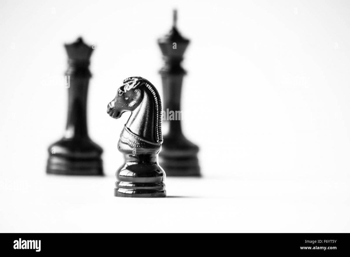 Шахматный конь