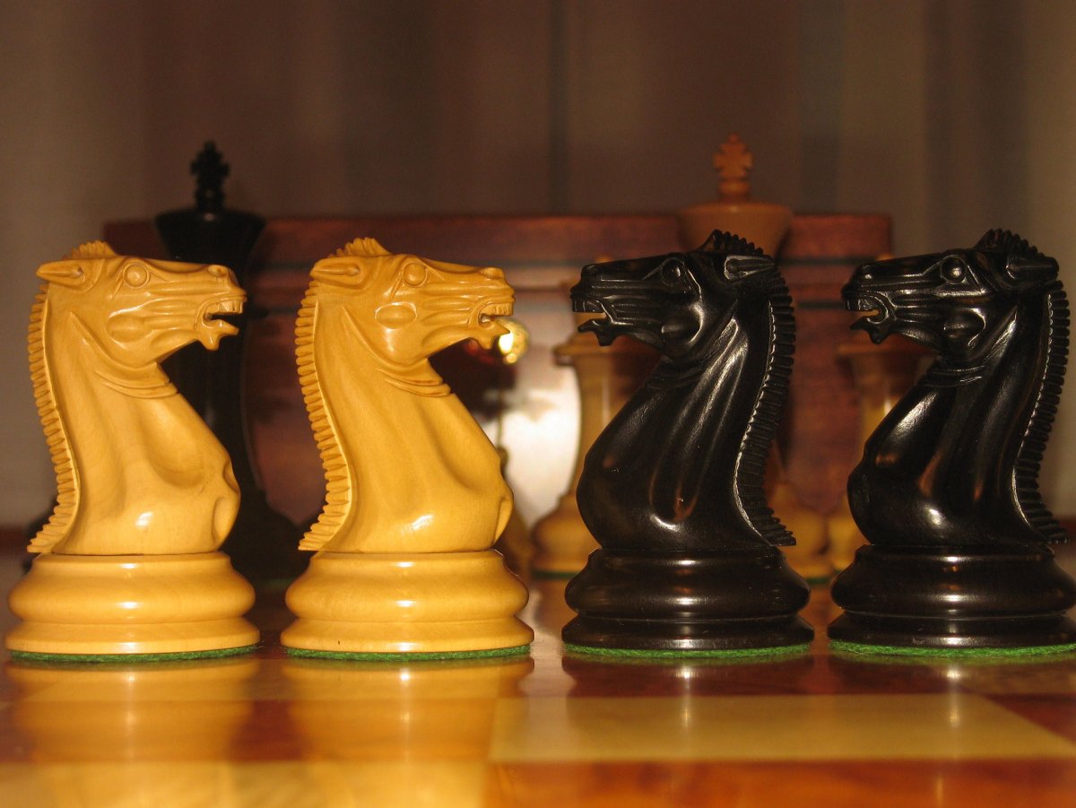 Конь на шахматной доске