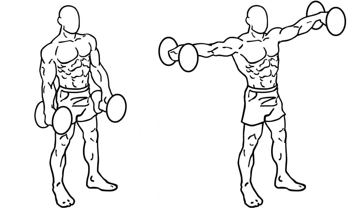 Подъем гантелей на заднюю дельту