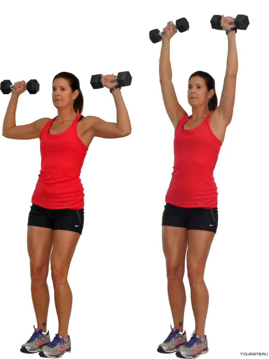 Упражнения с гантелями стоя для женщин