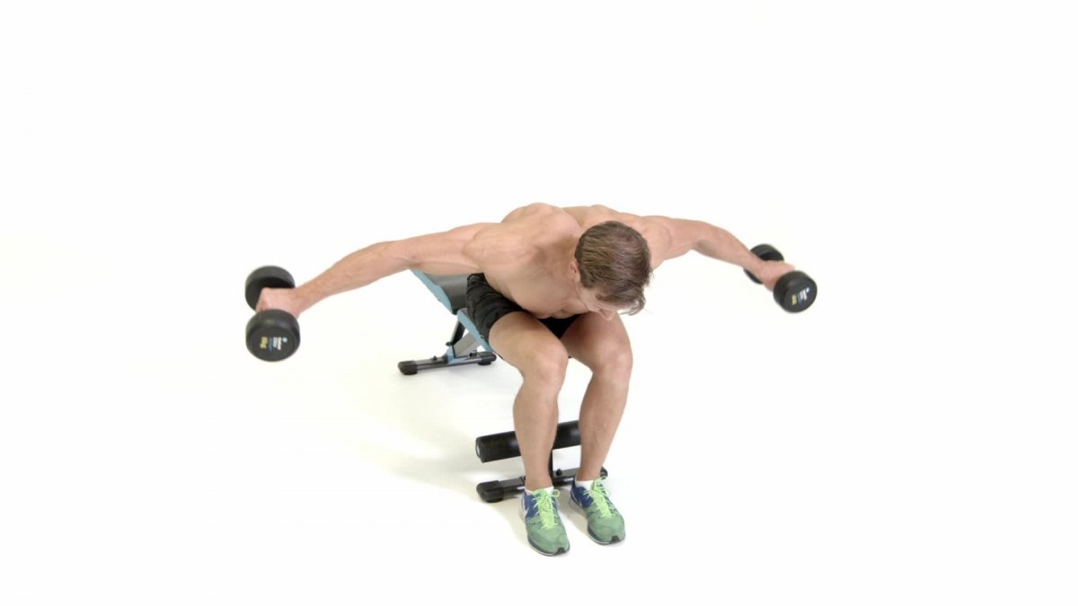 Махи гантелей в стороны стоя техника выполнения