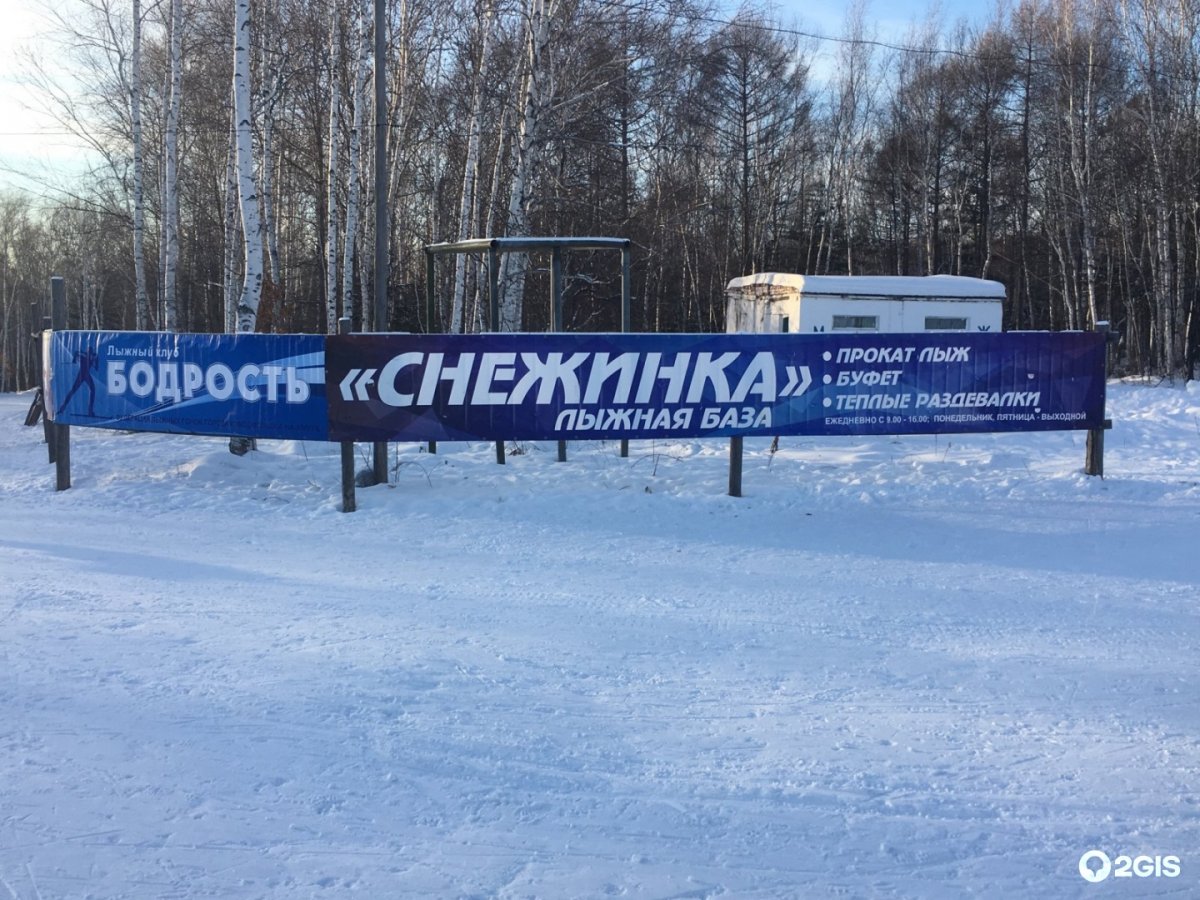 Снежинка лыжная гонка