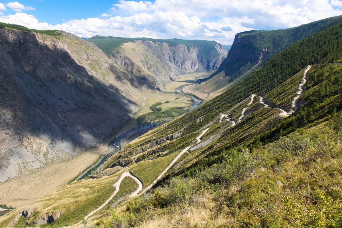 Перевал Куропачий