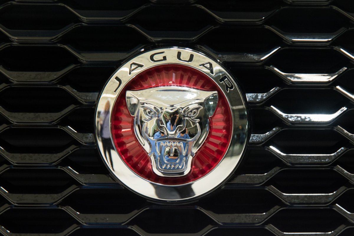 Логотипы автомобилей гепард