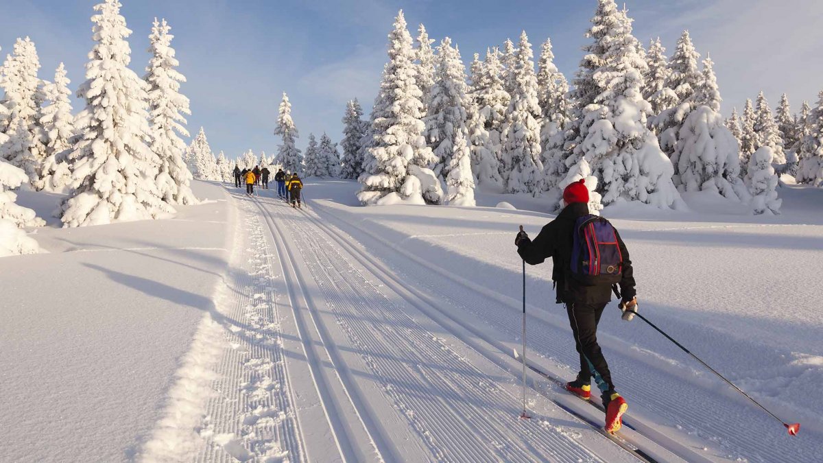 Cross Country Skiing