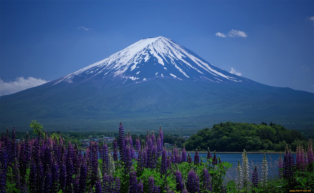 Гора Fuji Япония