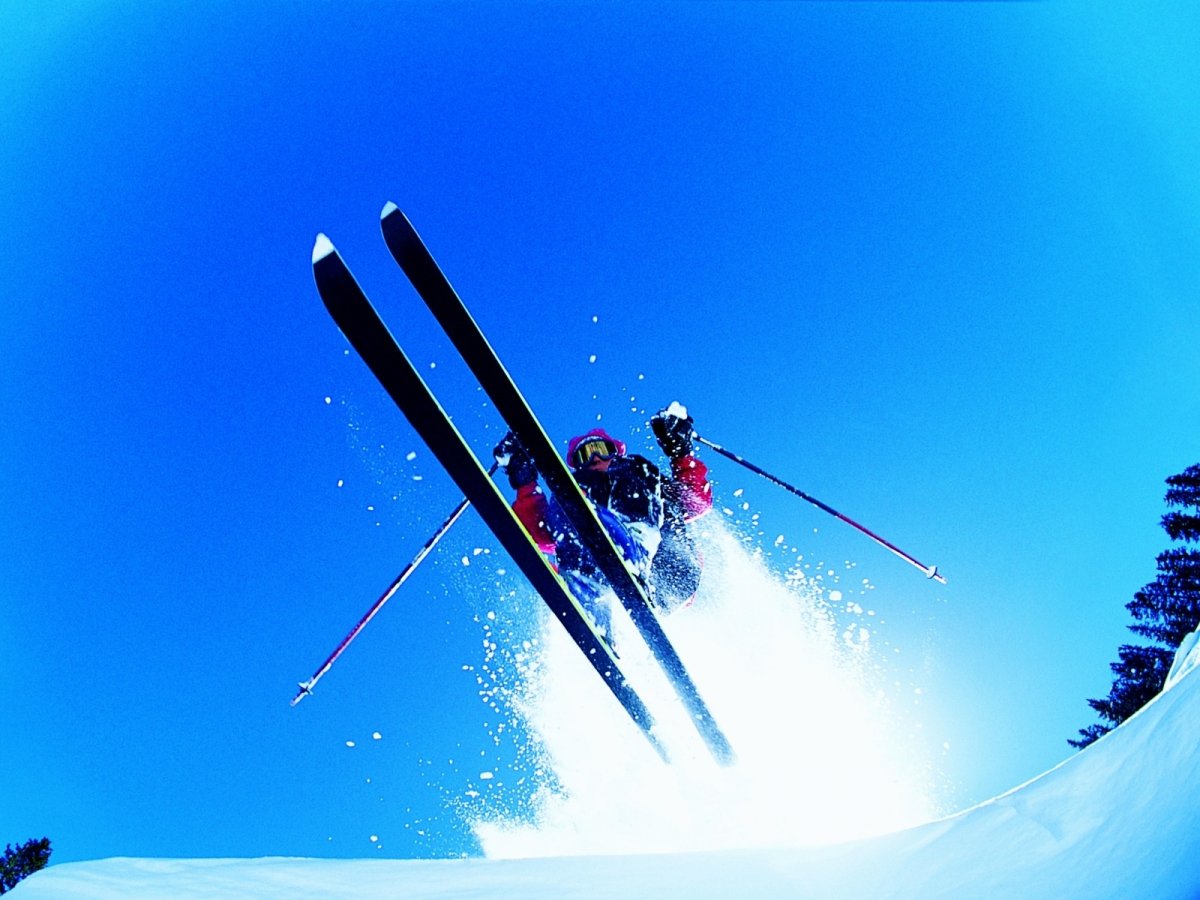 Горные лыжные гонки