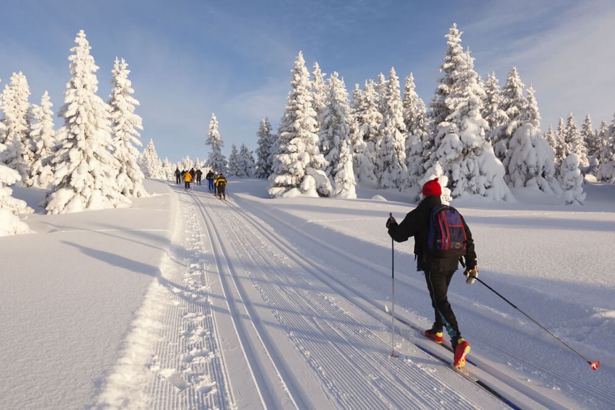 Cross Country Skiing