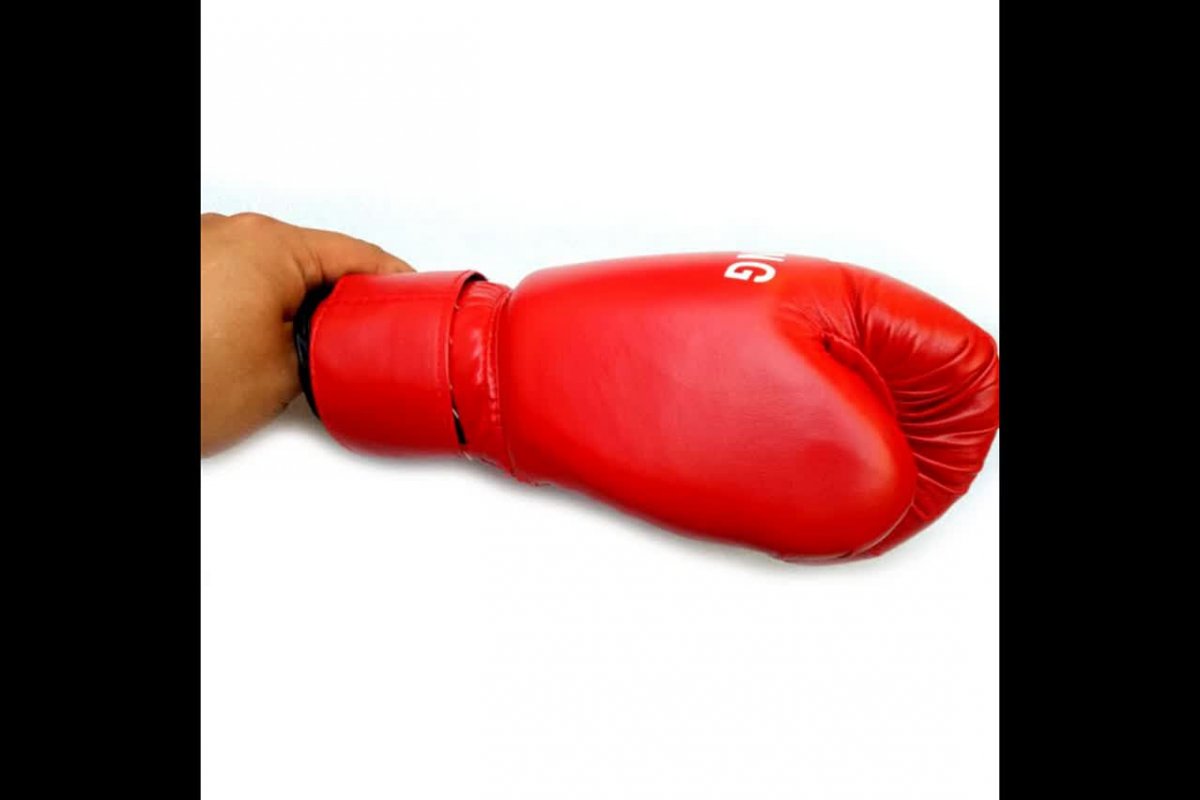 Лапа для тхэквондо адидас