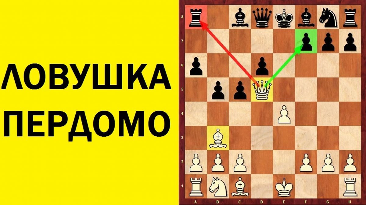 Шахматы Ирина Бараева im