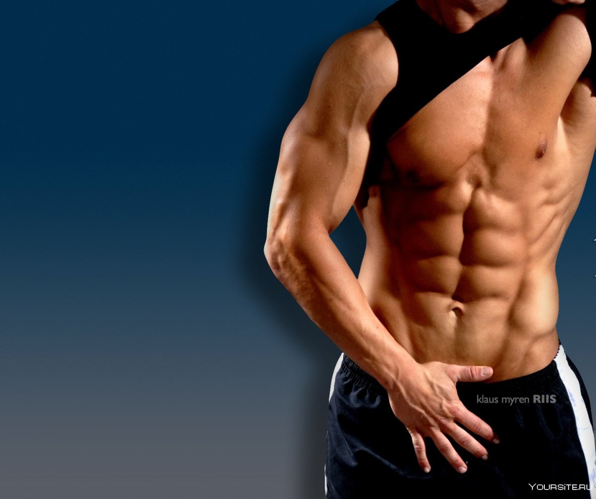 Мужской торс
