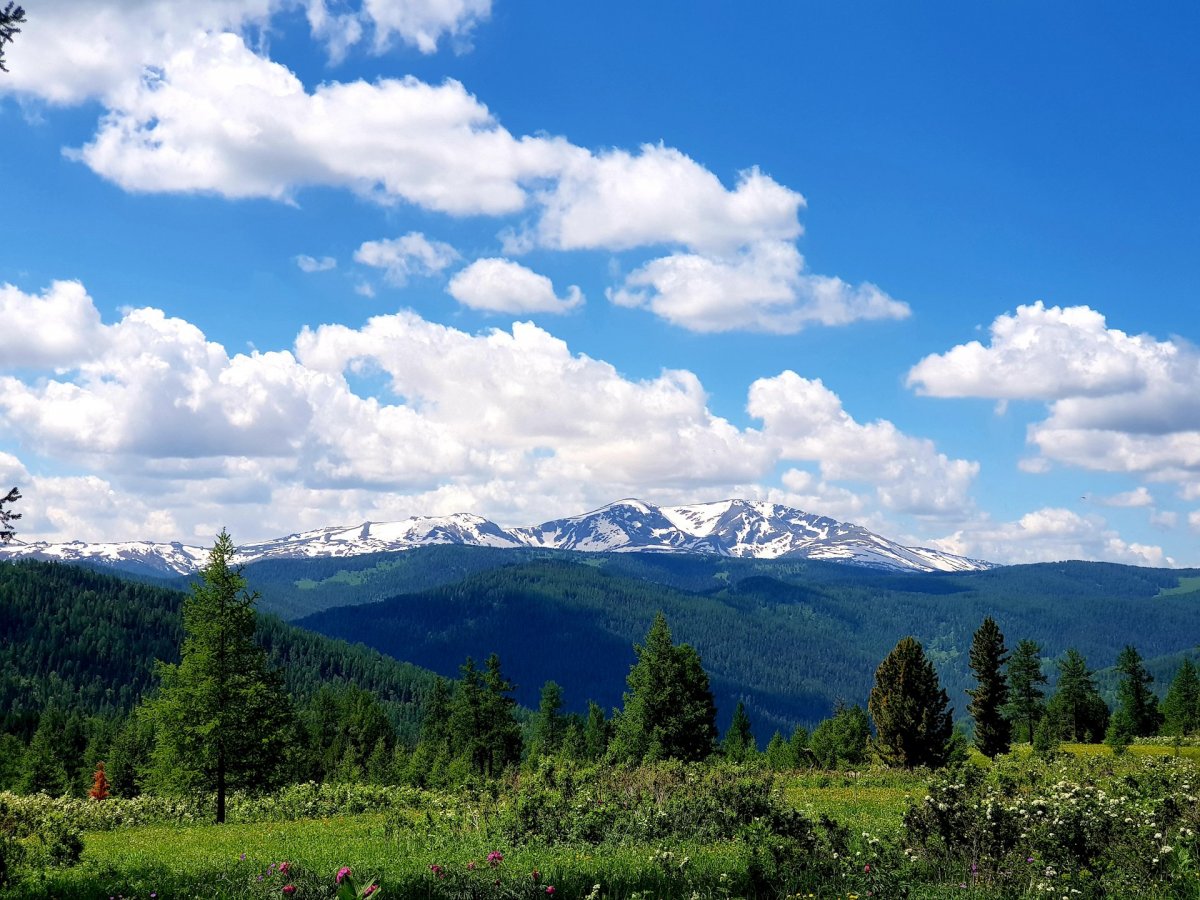 Алтайский край красная гора