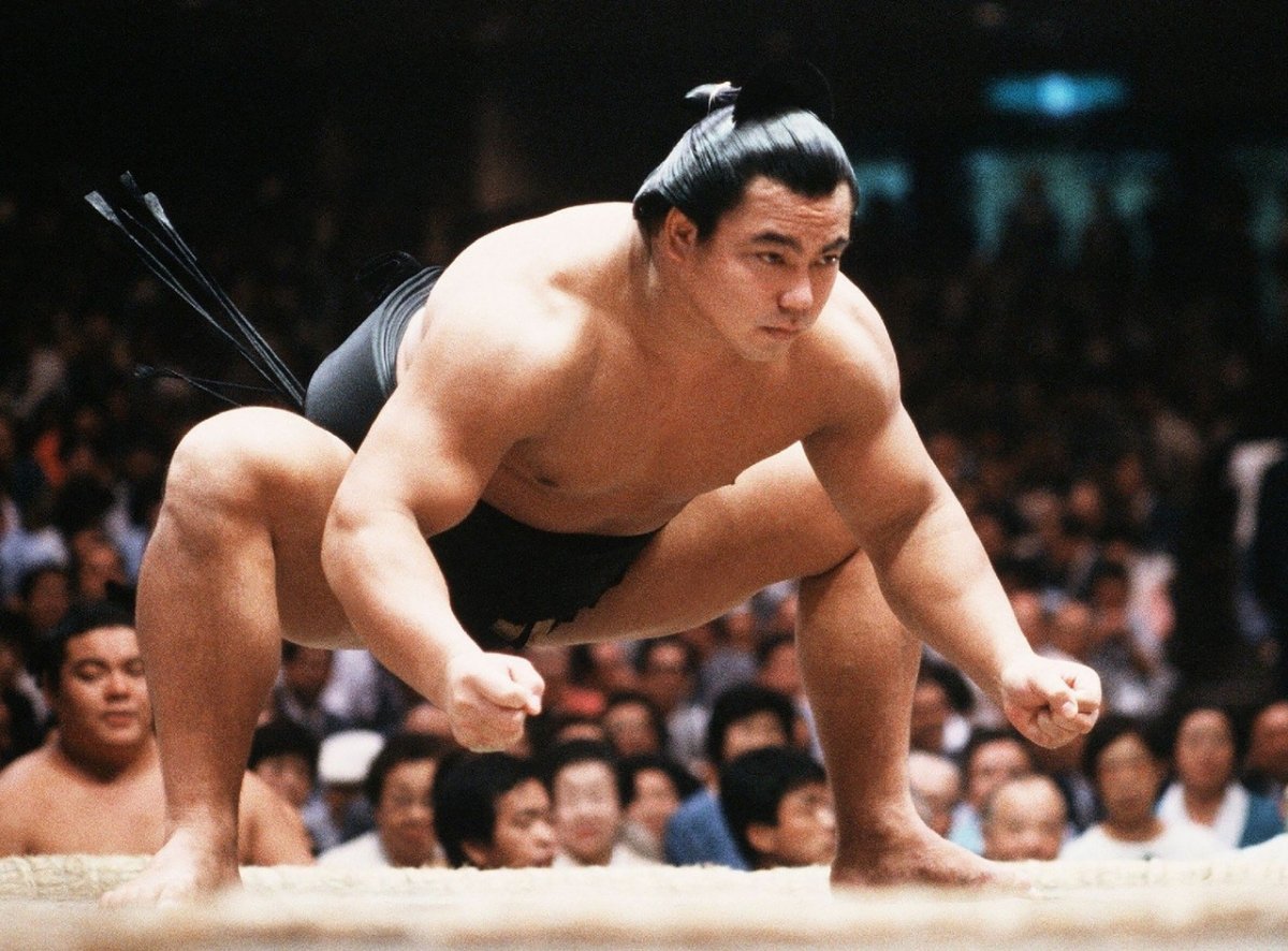 Самый большой борец сумо в мире