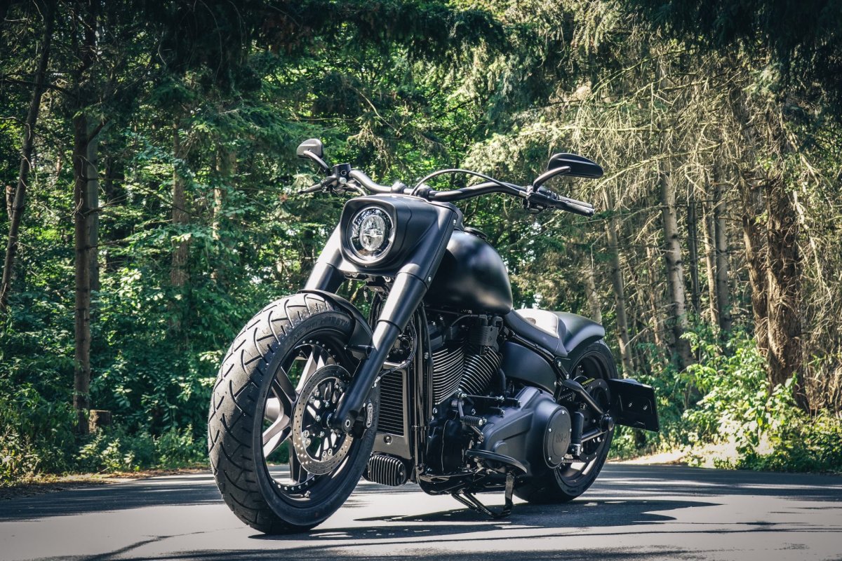 Харлей Дэвидсон fat boy 2018 Custom