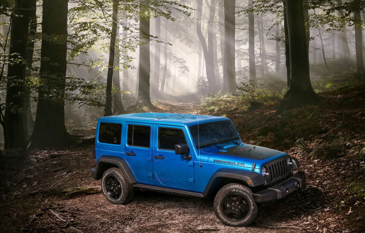 Jeep Wrangler в лесу