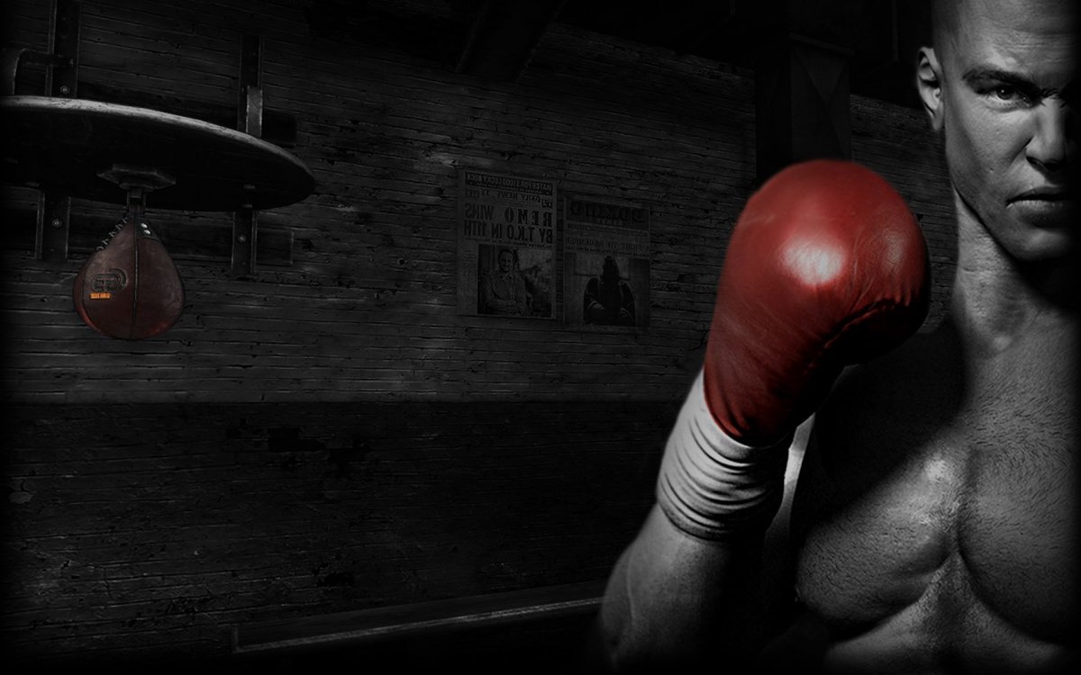 Real Boxing боксеры
