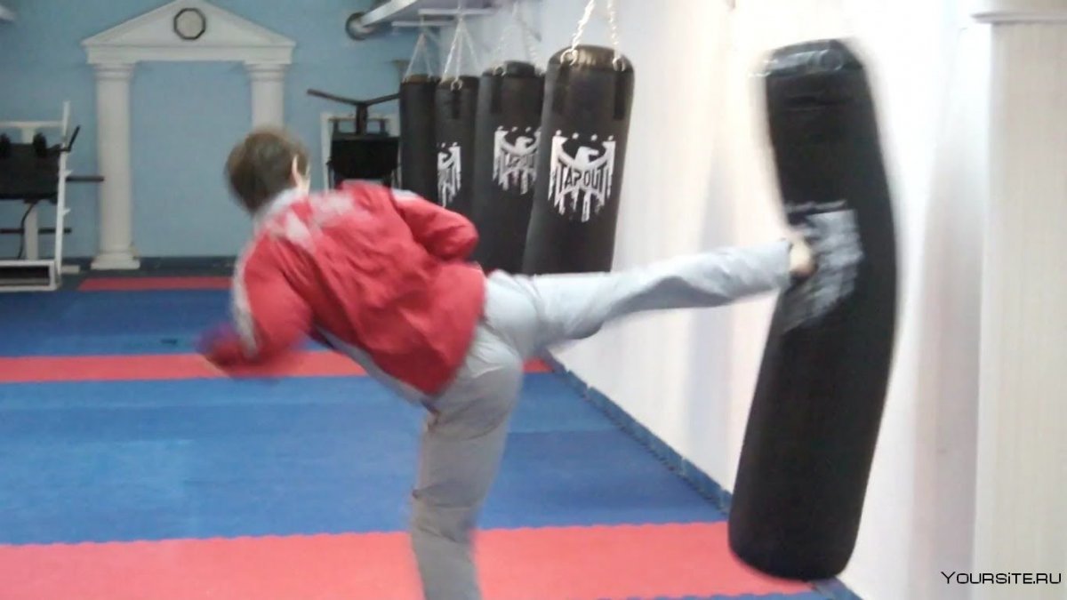 Kyokushinkai Karate вектор
