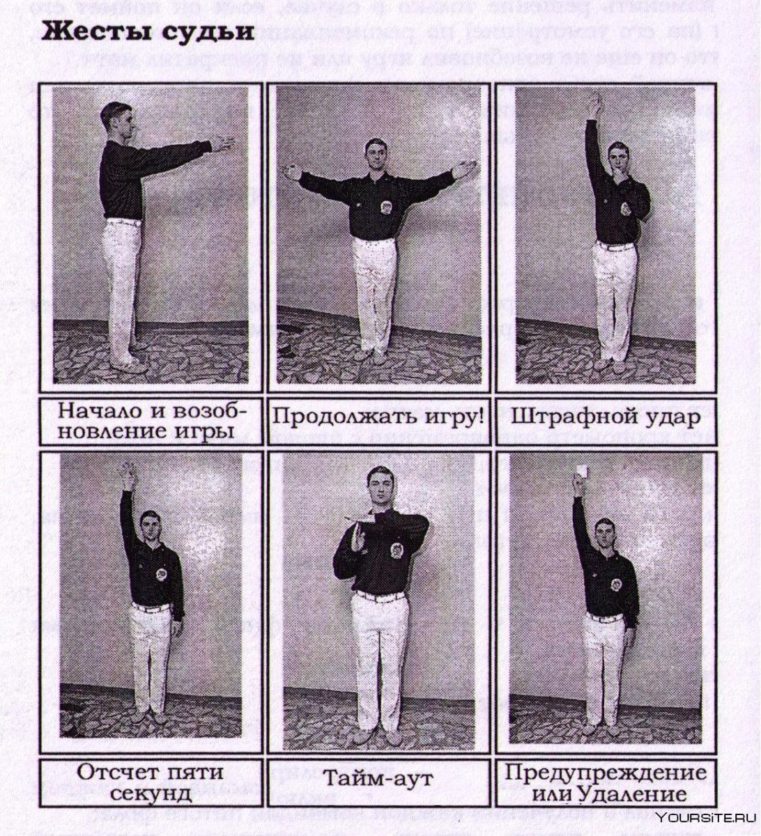 Жесты судей в каратэ киокушинкай