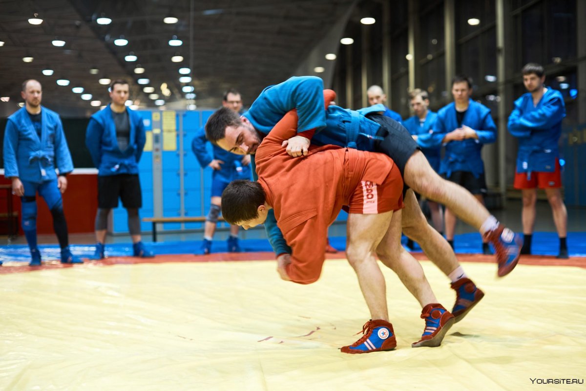 Самбо тренировка