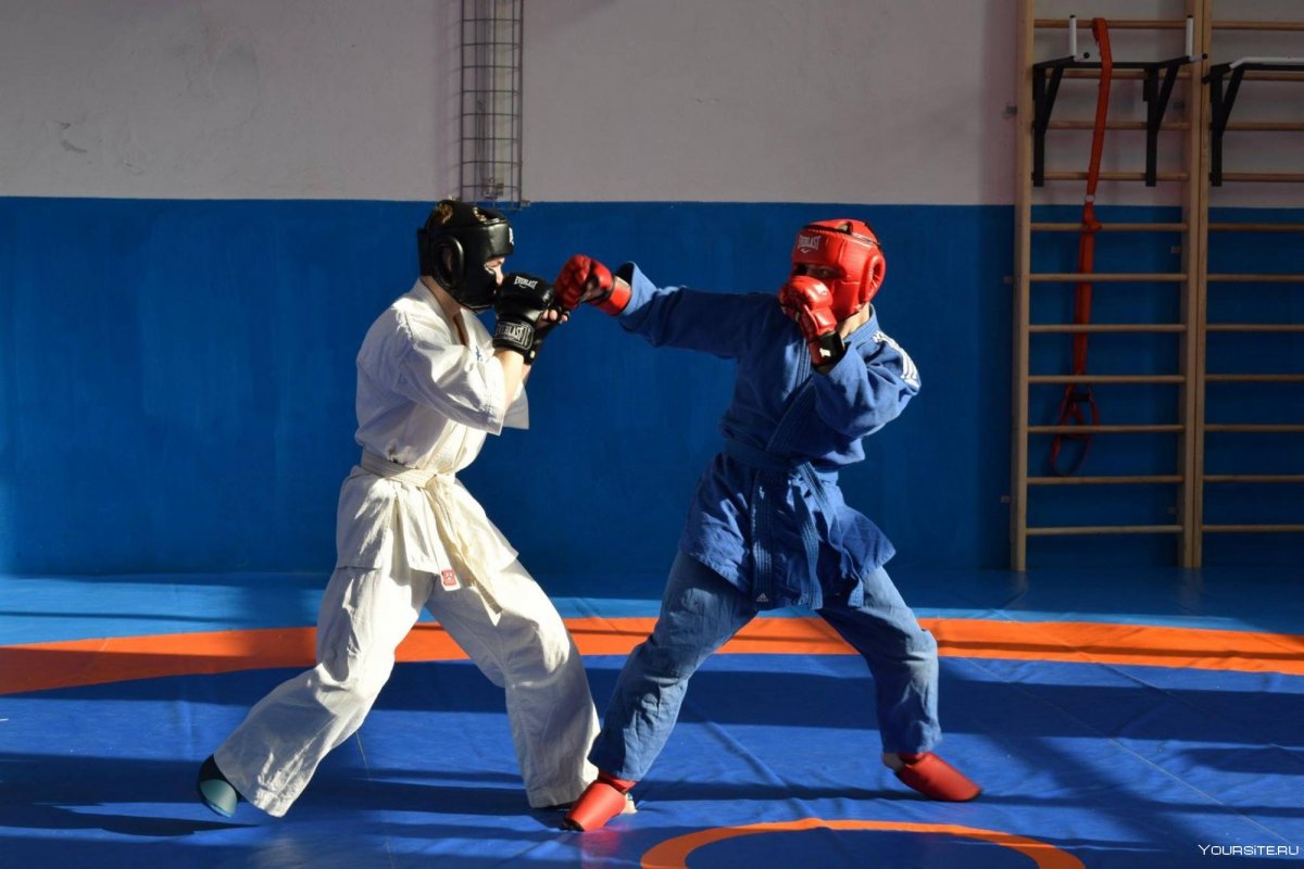 Самбо Химки