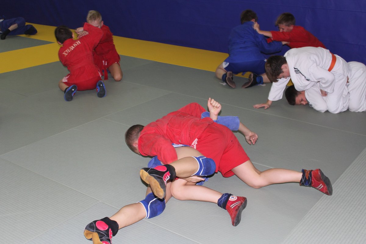 Боевое самбо бросок