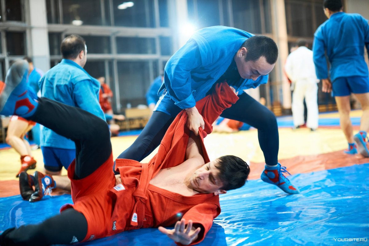 Самбо тренировка